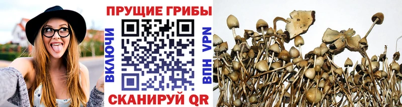 Псилоцибиновые грибы мухоморы  Рузаевка 