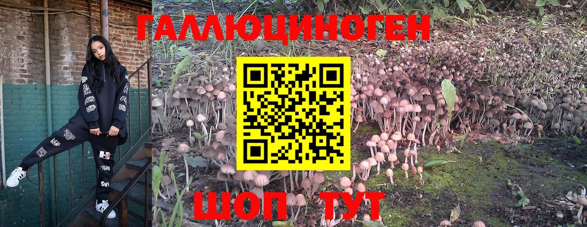 Псилоцибиновые грибы GOLDEN TEACHER  Вход с VPN  Рузаевка 
